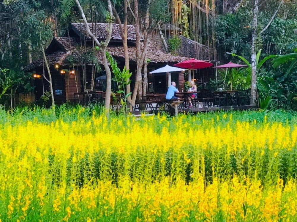 Fern Resort