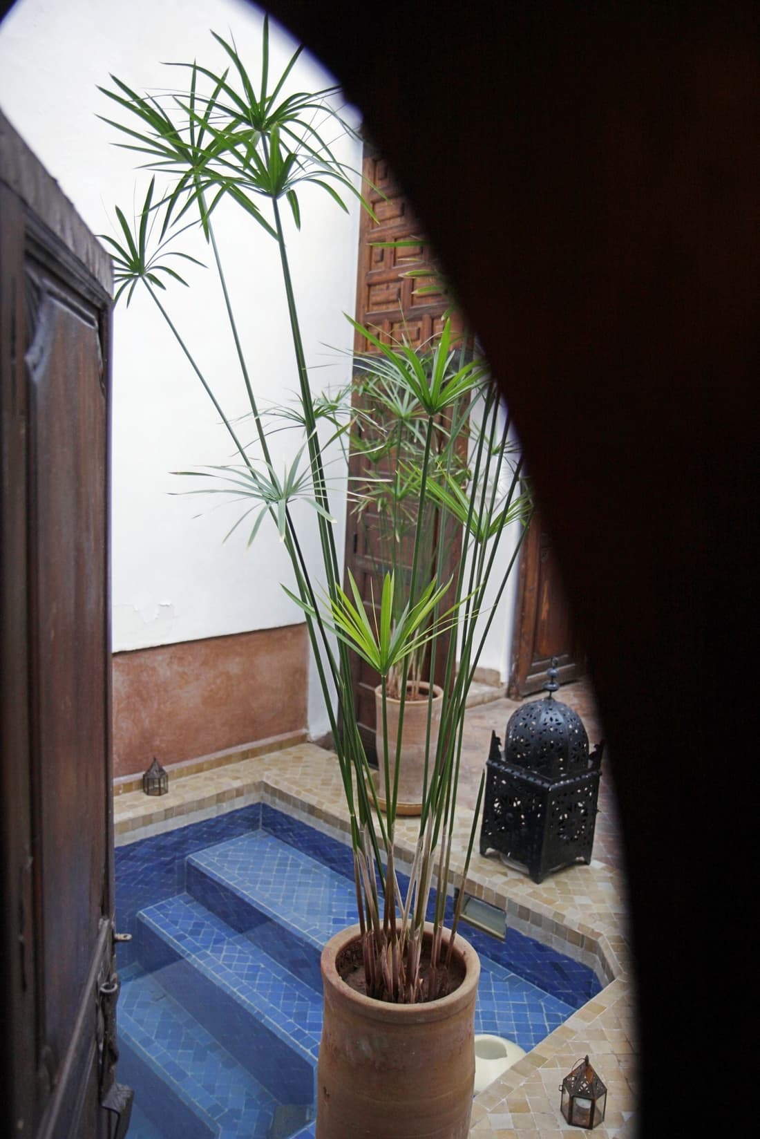 Riad Elixir