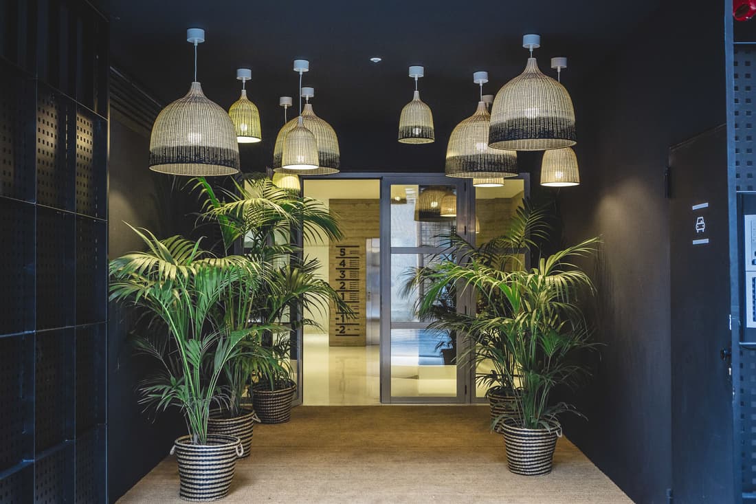 Apartamentos Bárbara 3