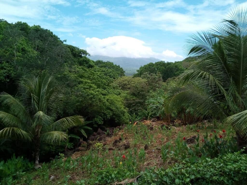 Eco Lodge El Porvenir