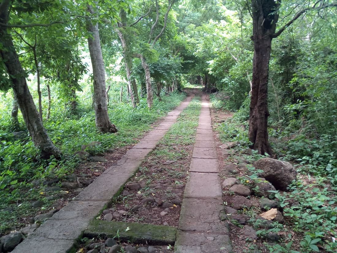 Eco Lodge El Porvenir