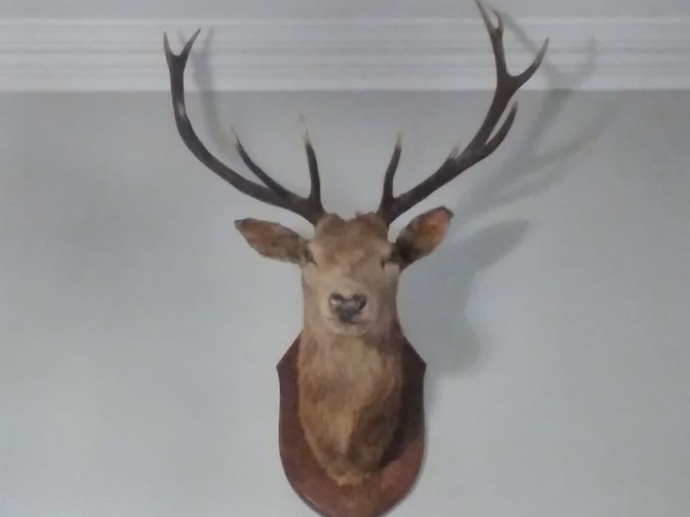 Greenland House B&B