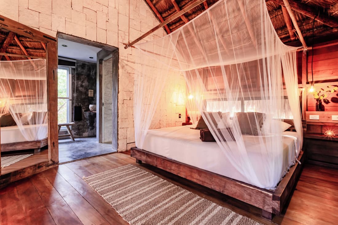 Vida Silvestre Tulum
