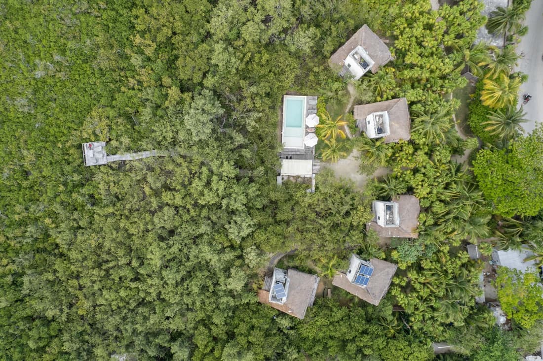 Vida Silvestre Tulum