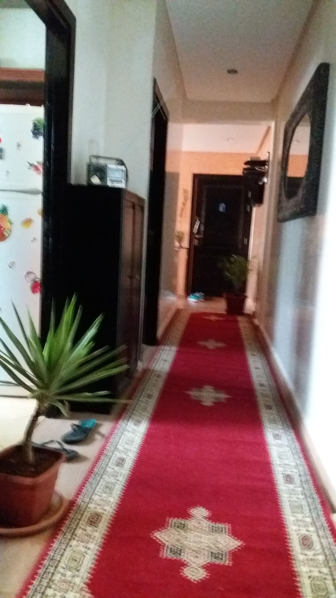 Mohammed V Airport Home