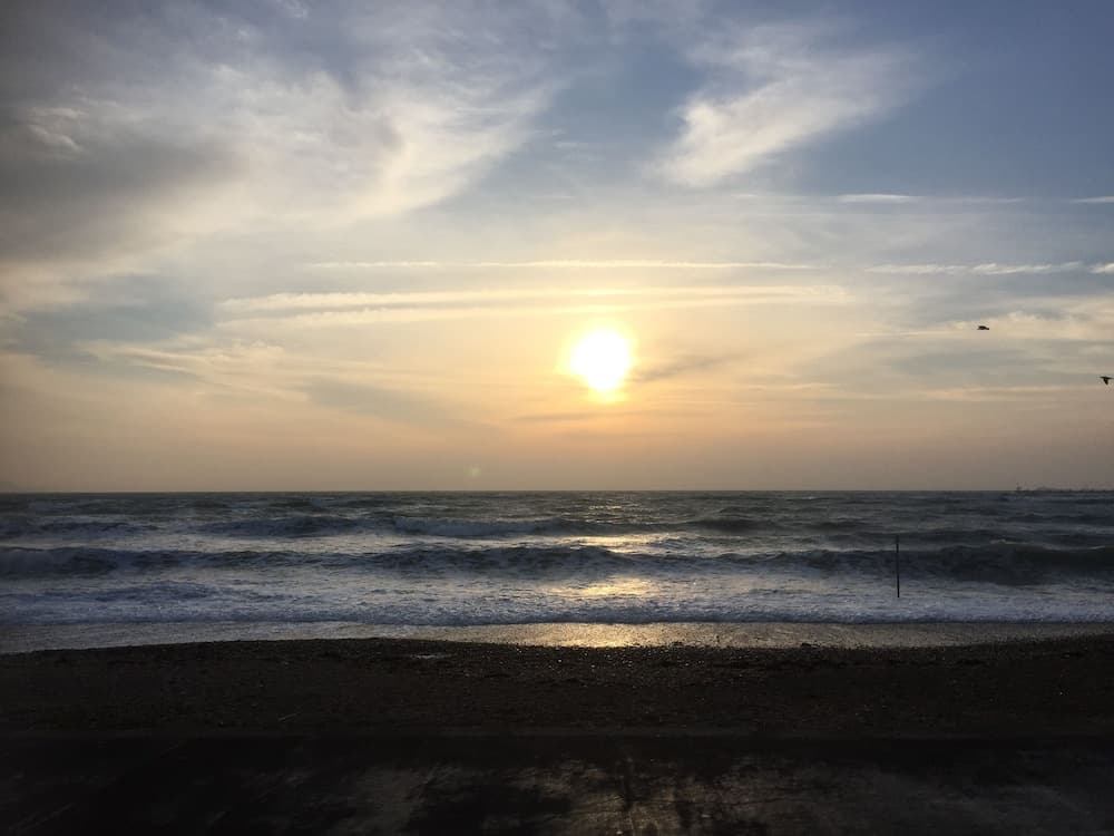The Beach House