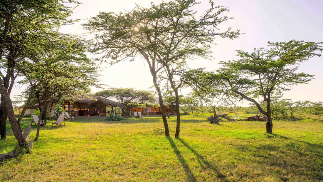 Kandili Camps