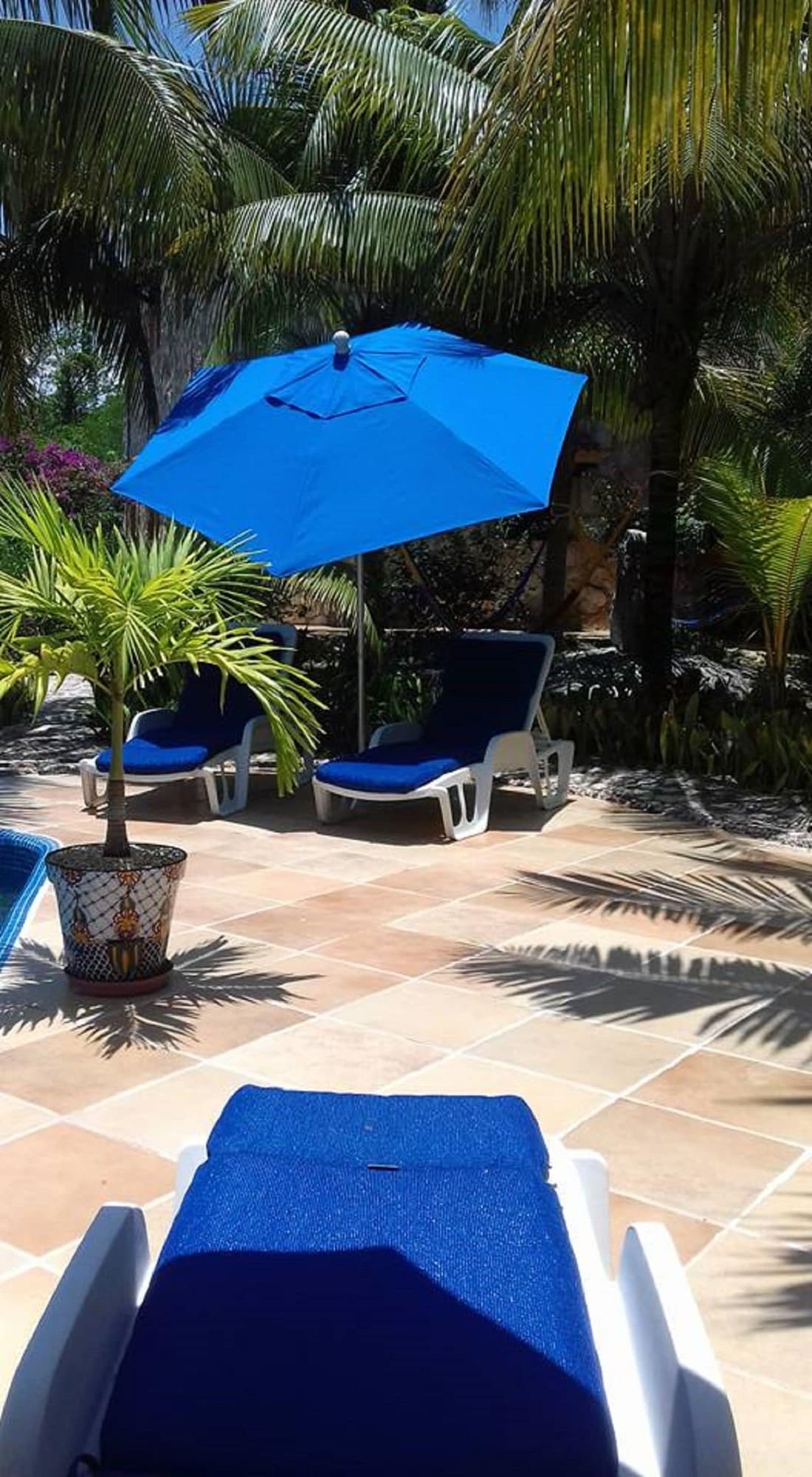 Villa Tortugas