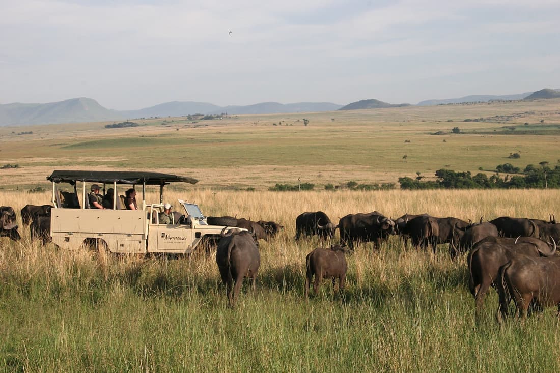 Nkomazi Game Reserve by NEWMARK