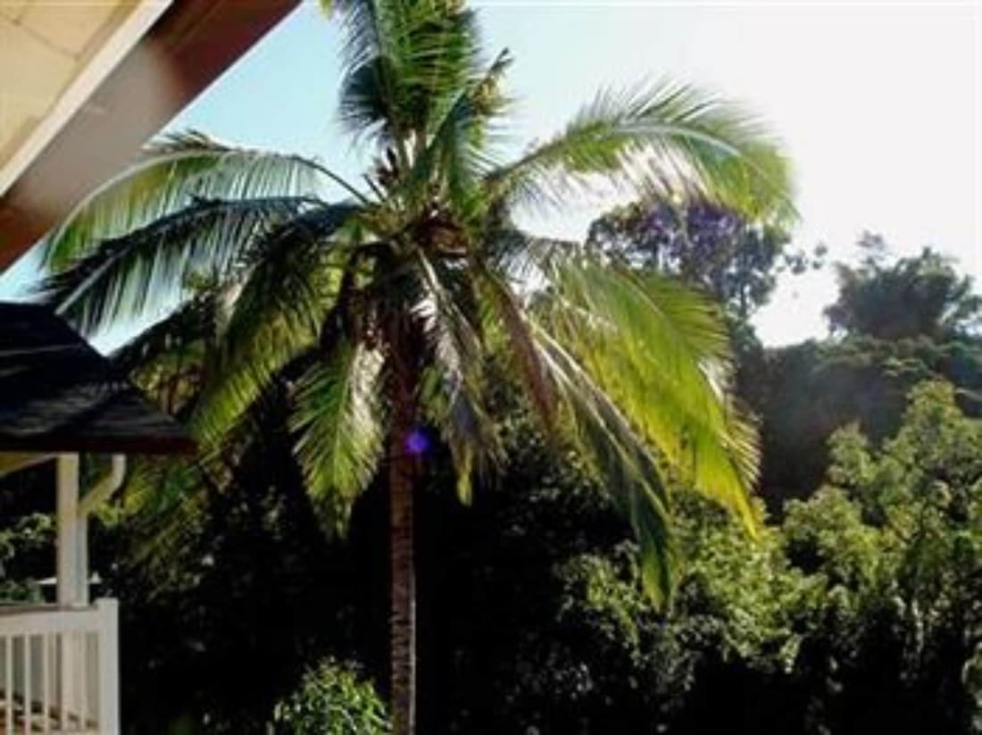 Bamboo Valley Inn