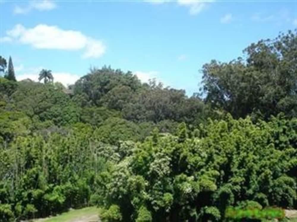 Bamboo Valley Inn