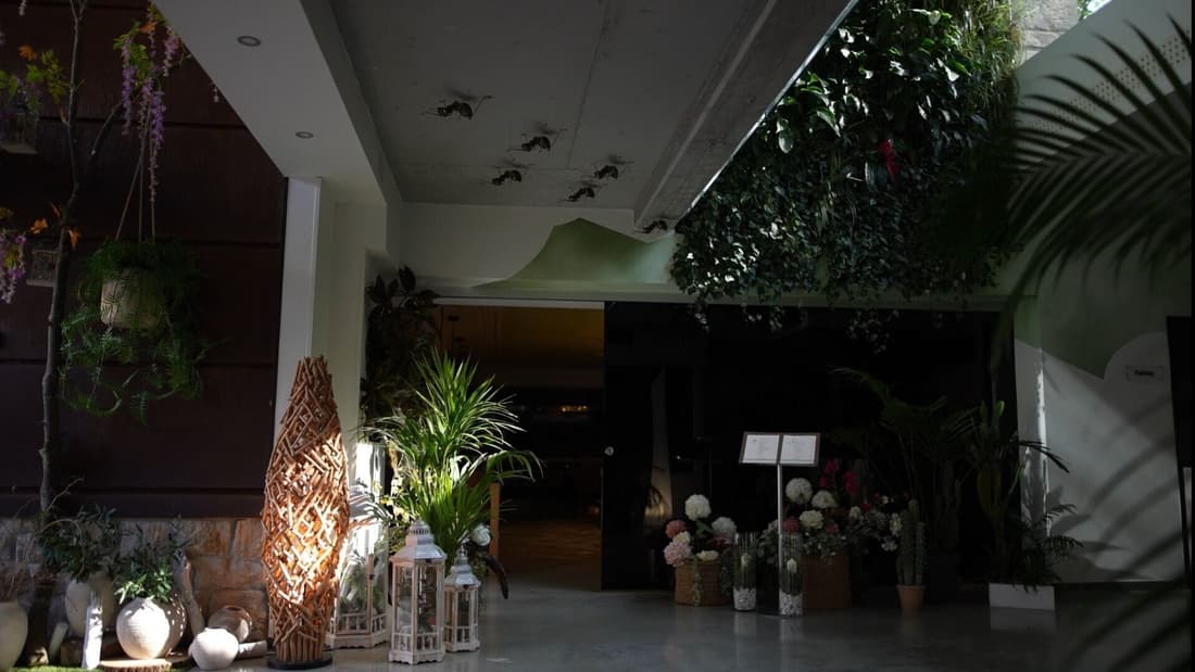 Hotel Cuevas - Adults Only