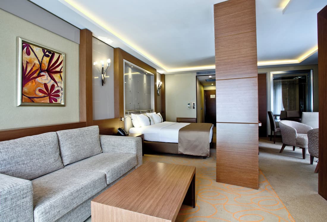 Holiday Inn Ankara - Kavaklidere by IHG