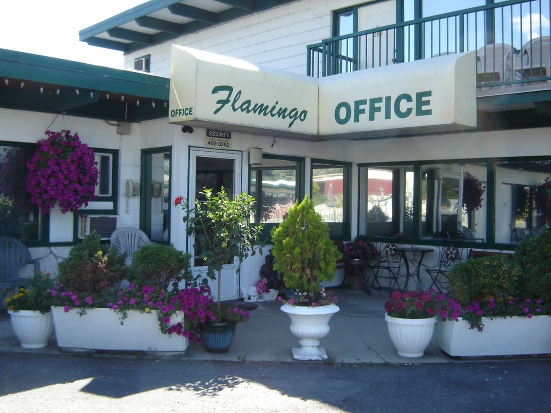 Flamingo Motel