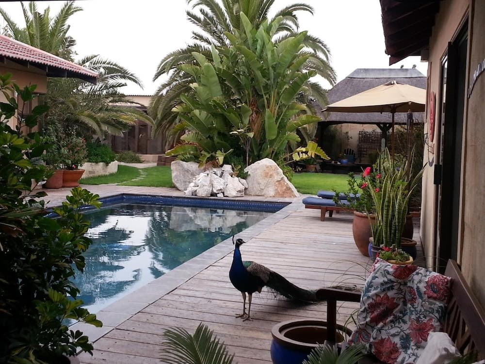 Gecko Ridge Guest House