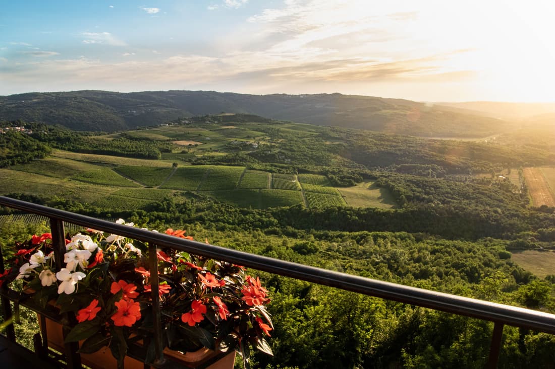Villa Borgo B&B