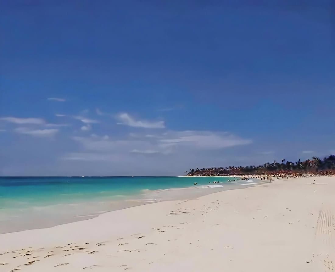 Penthouse 335 Cana Rock  De Lux En Punta Cana