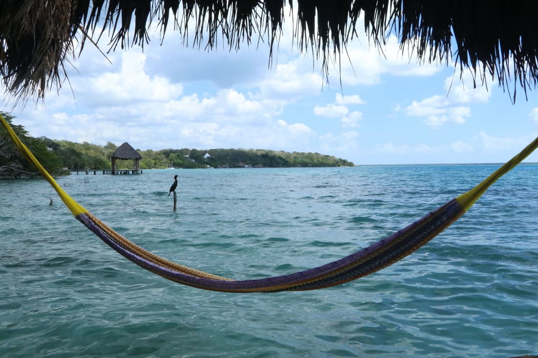 Agave Blue Bacalar