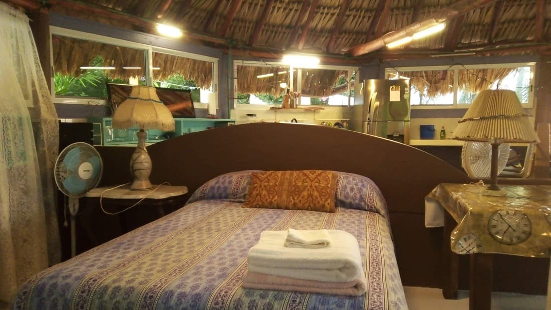 Agave Blue Bacalar