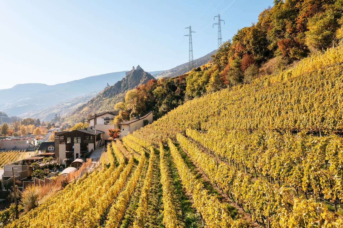 Weingut und Genusshotel Spitalerhof