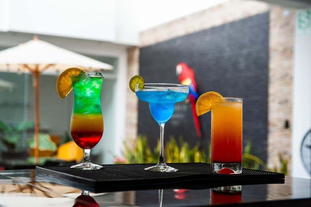 Hotel Boutique Papagayo