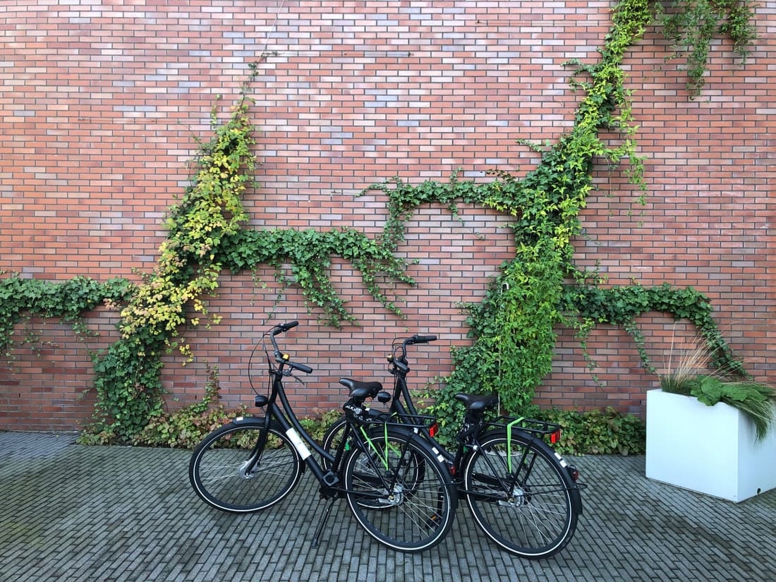 Hyatt Place Amsterdam Airport