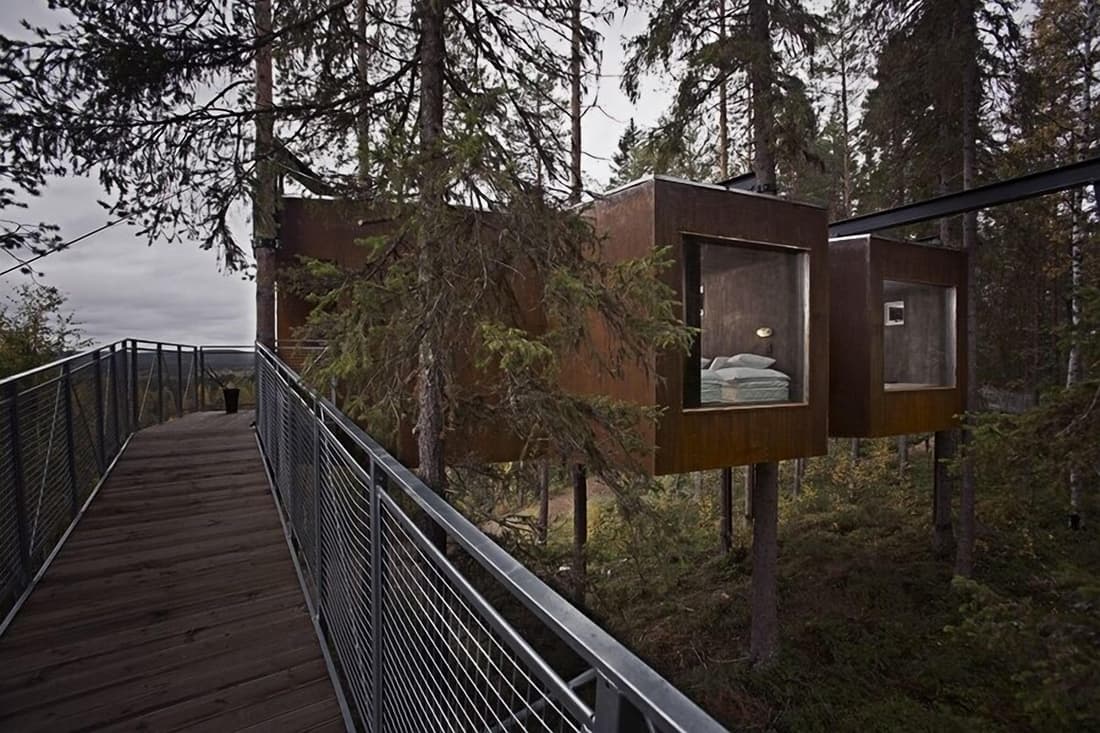 Tree Hotel