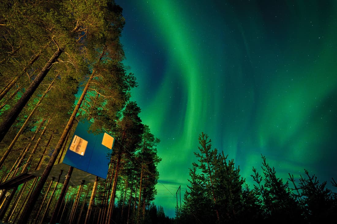 Tree Hotel