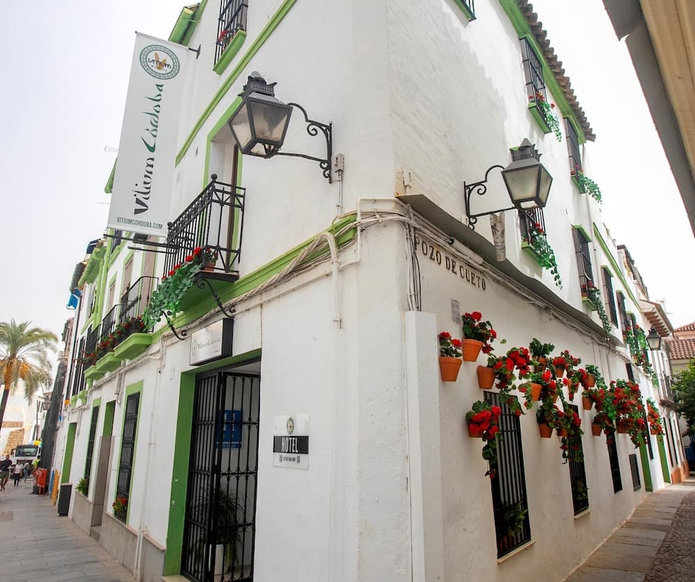 Vitium Córdoba