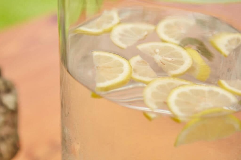 VILLA PUCCINI