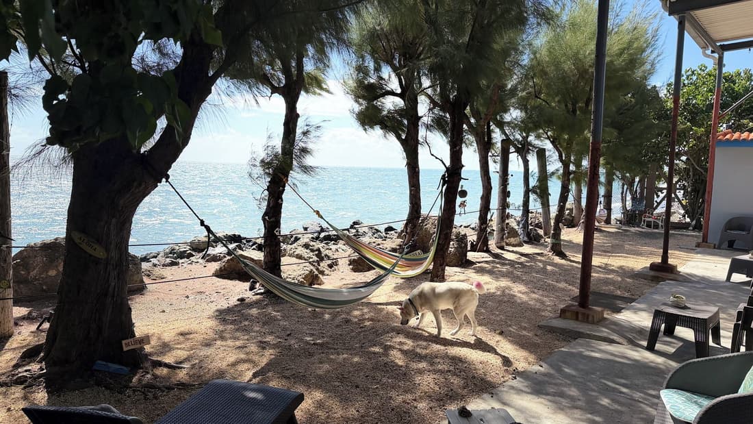 The Place at the Sea