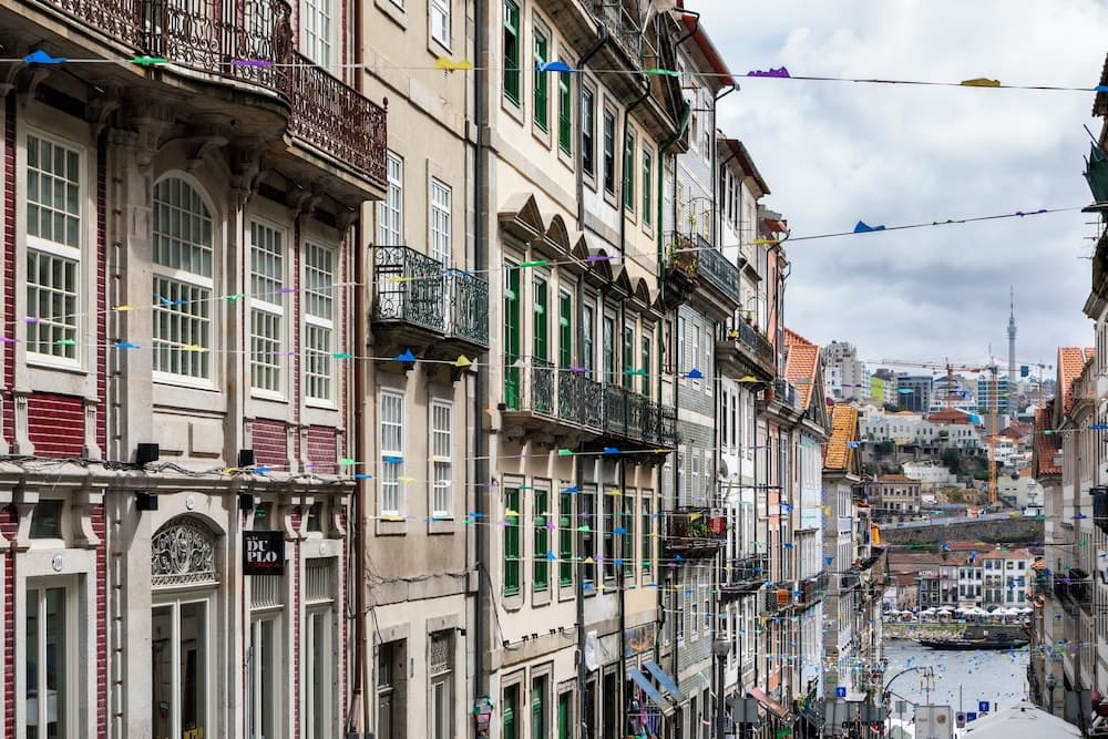 ICON Duplo Ribeira