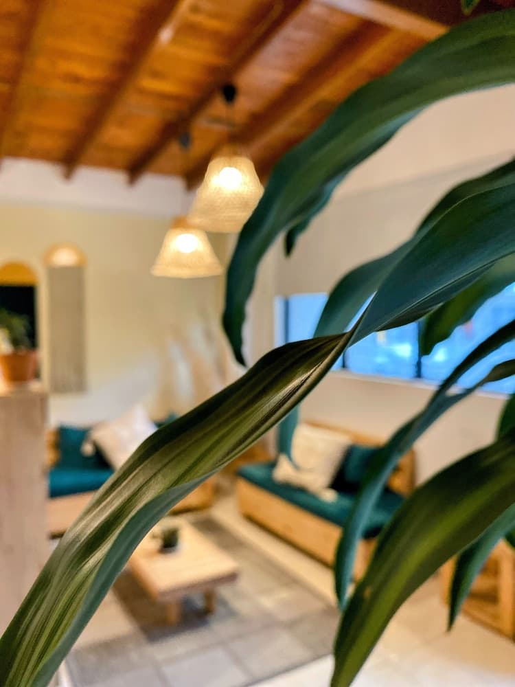 Luum Guest House
