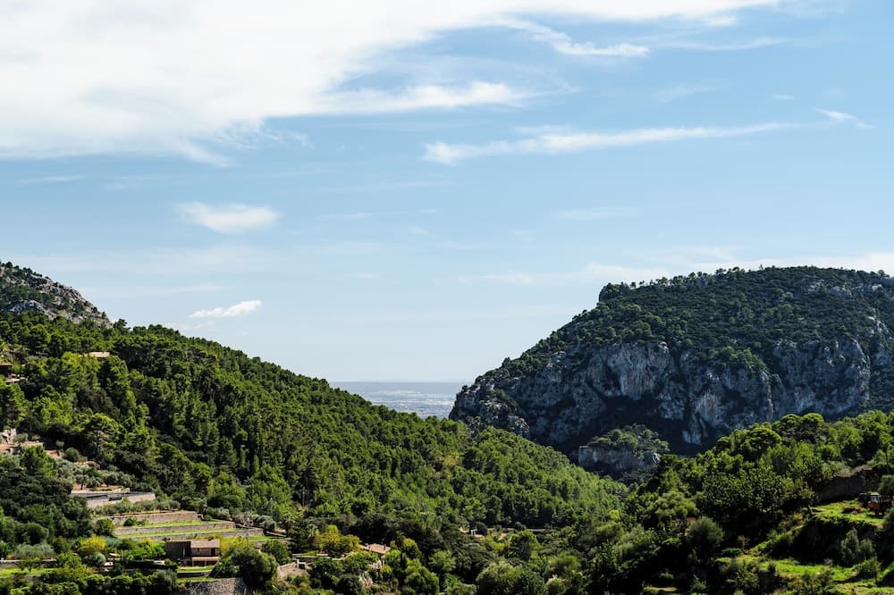 Es Petit de Valldemossa