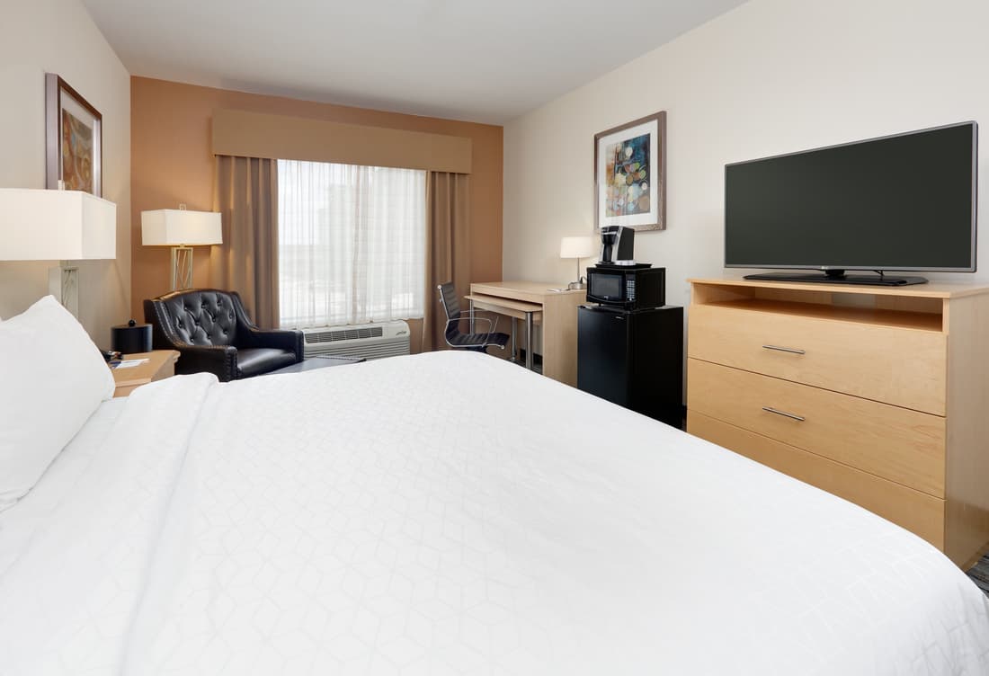 Holiday Inn Express & Suites San Antonio - Brooks City Base by IHG