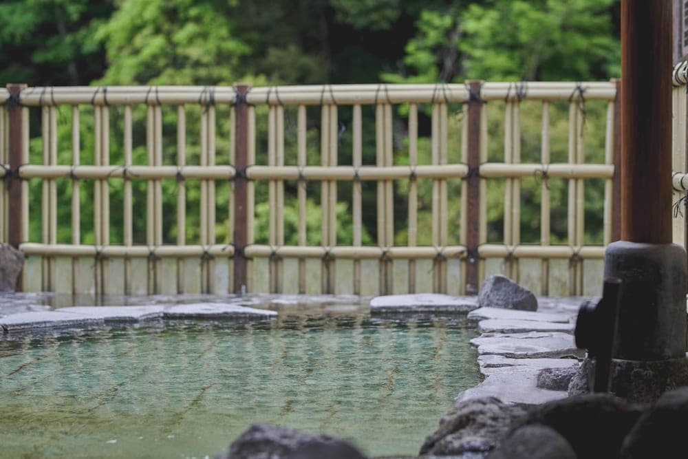Hakone Pax Yoshino