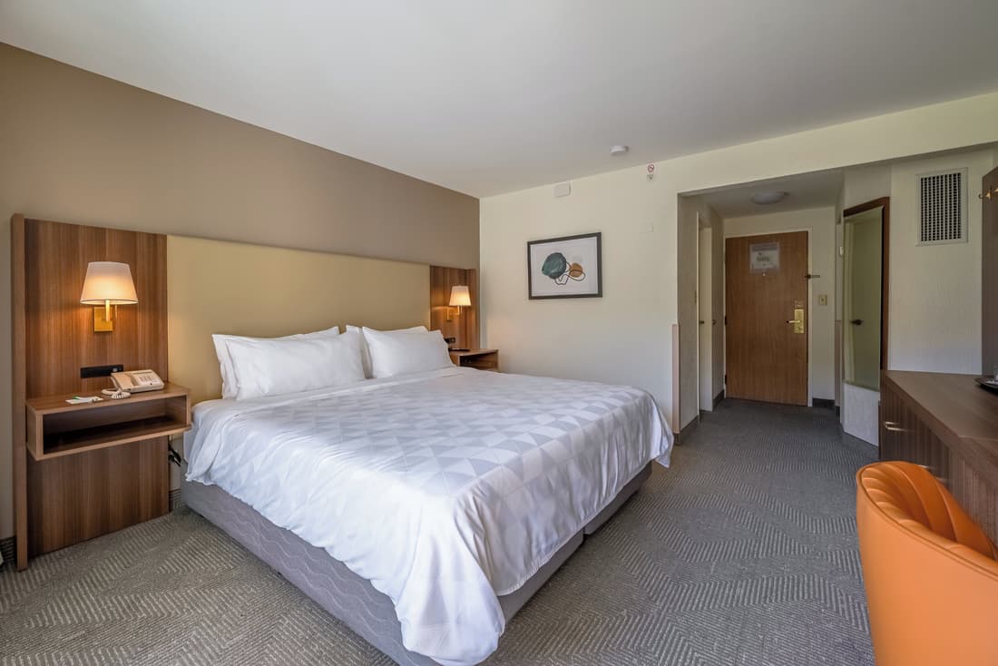 Holiday Inn San Jose La Sabana by IHG