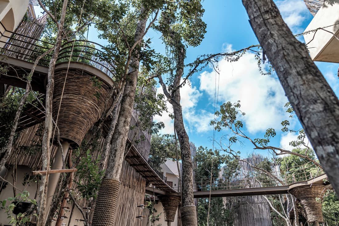 Taio Tulum