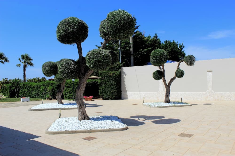 Tenuta Paifer