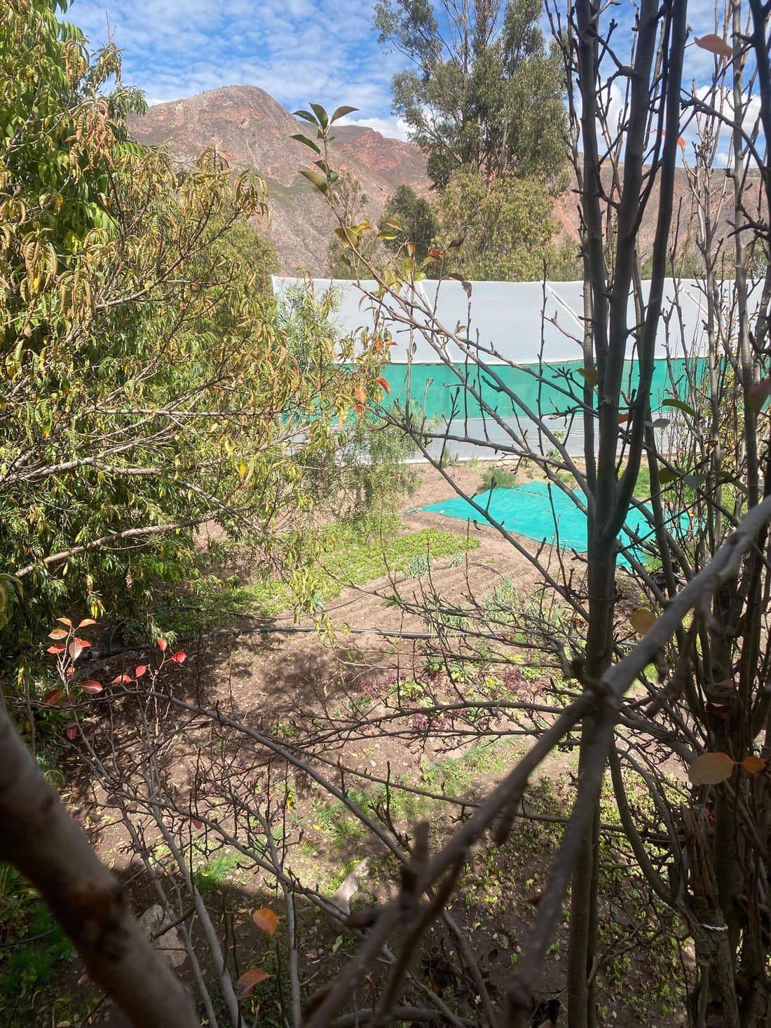 MAMA GREEN Eco Lodge l Permaculture Farm l Farm To Table