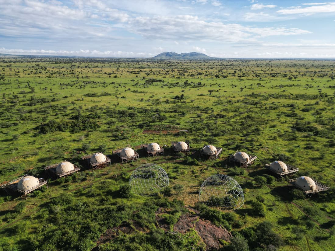 KUOOM SERENGETI
