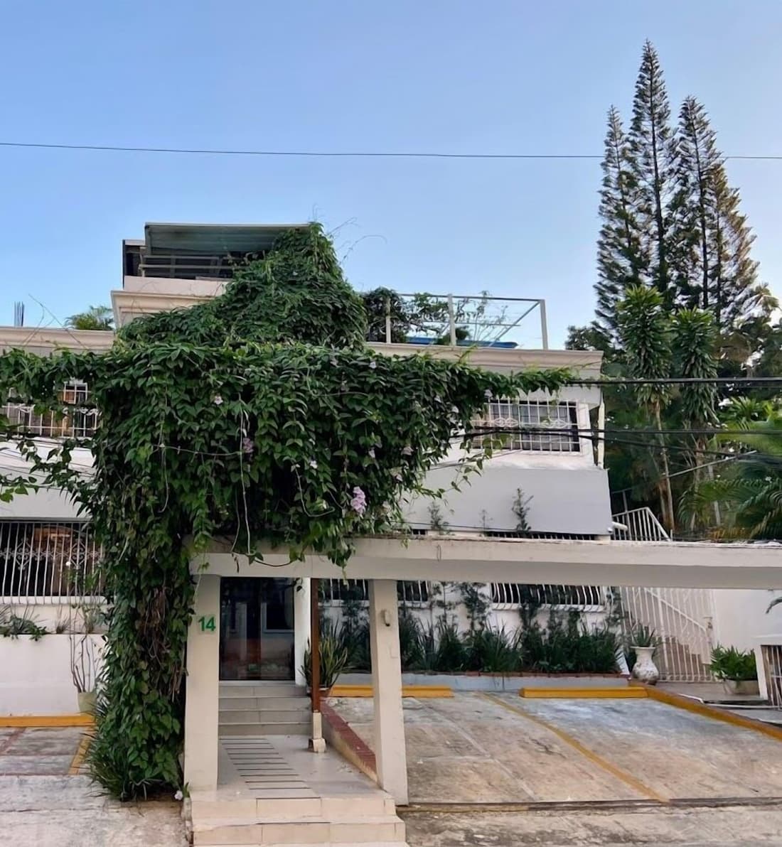 BOTANIC GARDEN HOSTAL