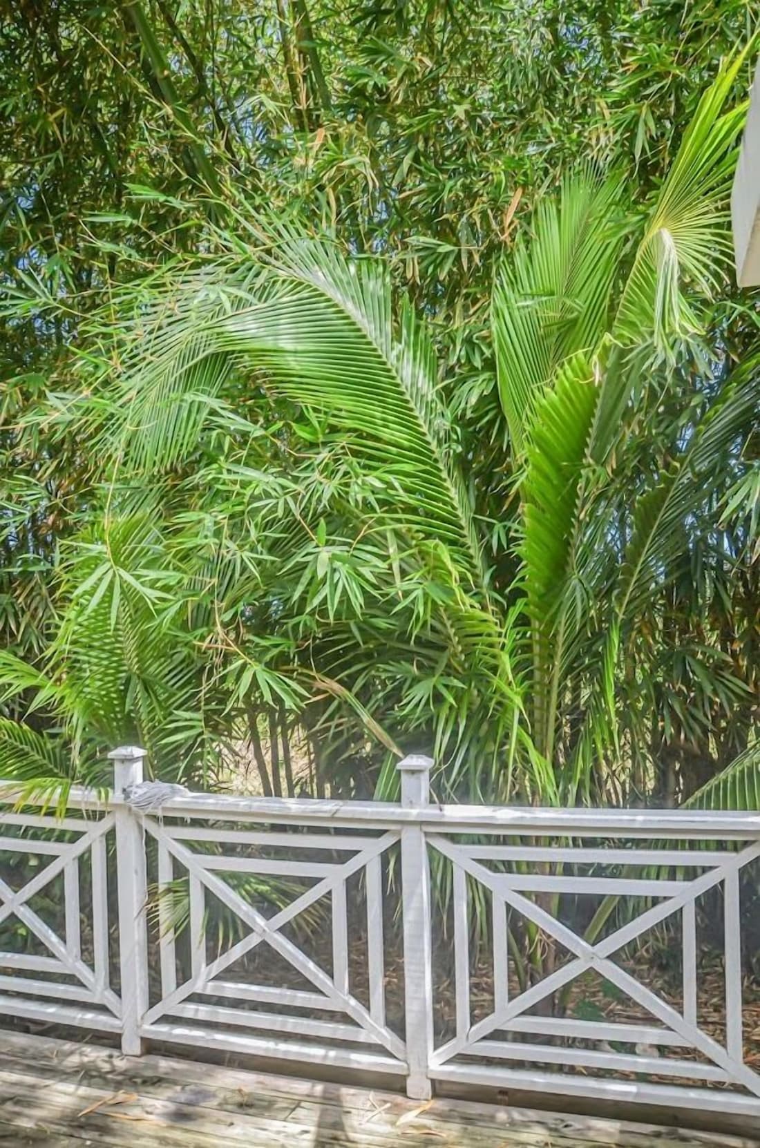 Bamboo Villa