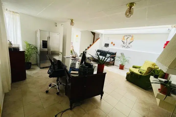 Hotel Colonial El Gran Fenix