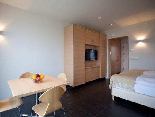 Studios Saeluhus