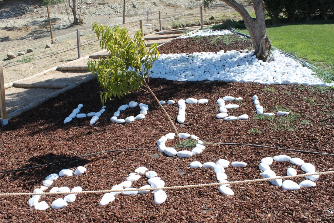 Hotel O Gato & SPA