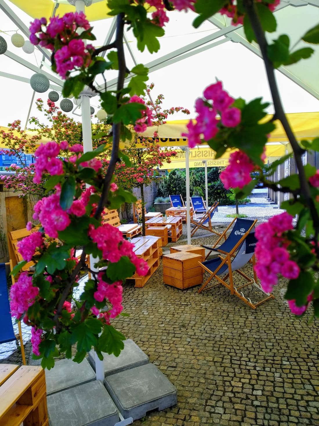 Sympozjum Hotel & Spa