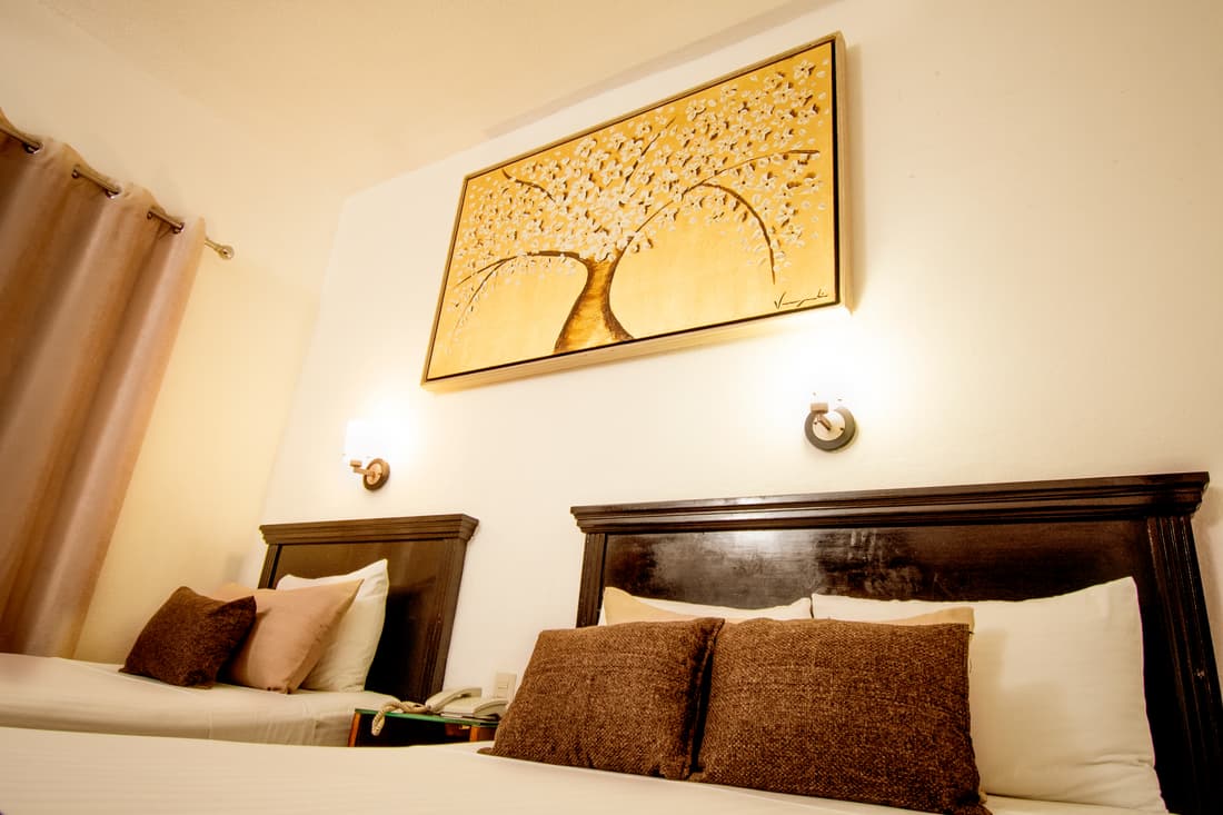 HOTEL DEL CARMEN