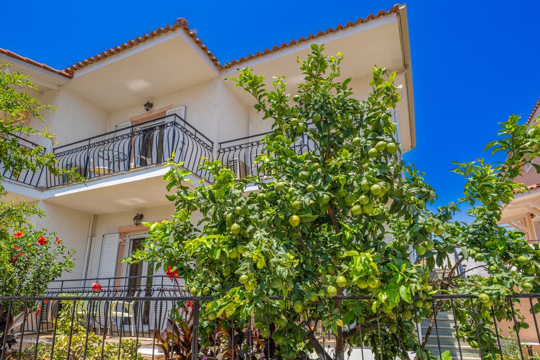 Dionysios Studios & Apartments