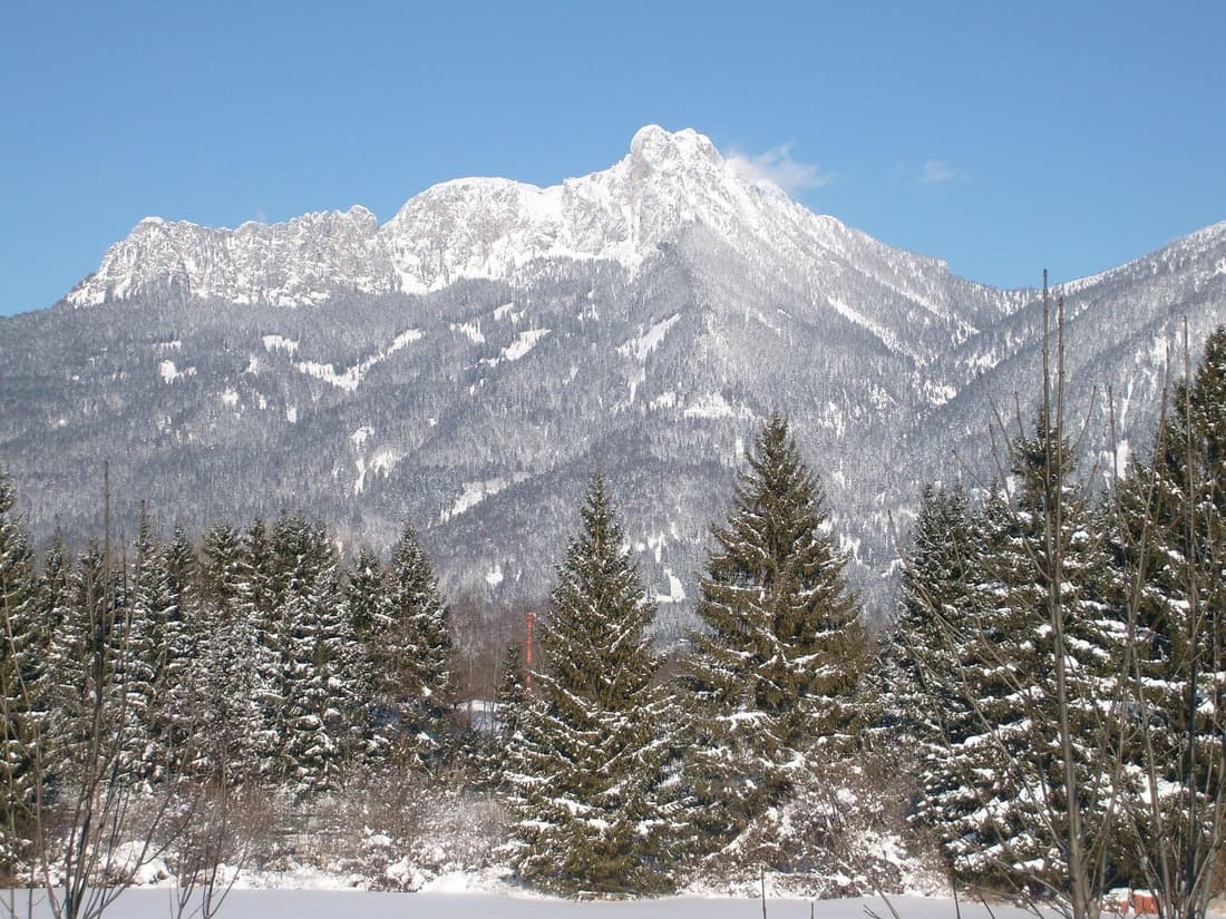 Der Tannenhof